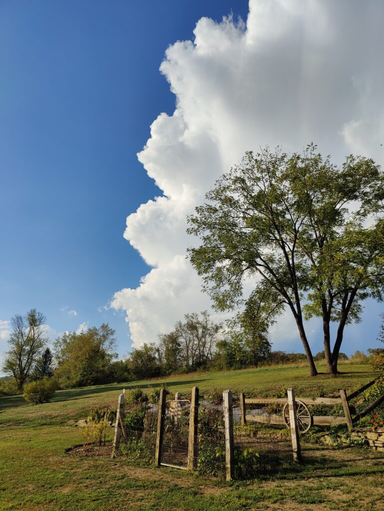 In an otherwise blue sky, tall storm clouds rise over a September country landscape that includes a small garden plot, a split-wood fence, and a group of walnut trees in a dry lawn.